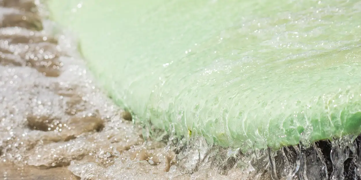 photo of surfboard